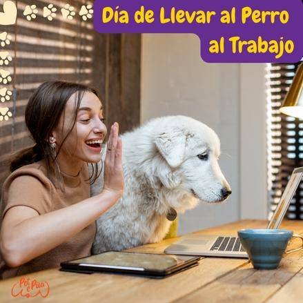 Dia de llevar tu perro al gtrabajo. take your dog to work day.
