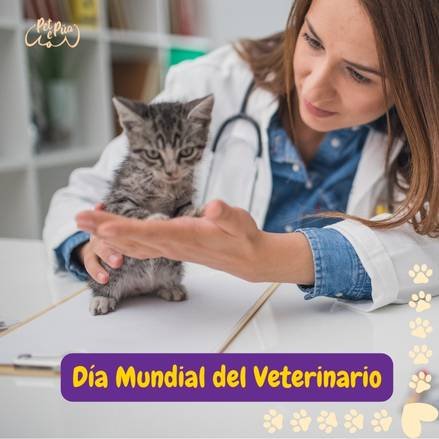 Una veterinaria examinado a un gatito y texto que dice "dia mundial del veterinario".