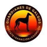 Logo de Guardianes de Galgos