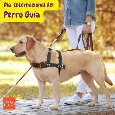 Dia internacional perros guia. dia internacional de los perros guias. dia internacional de perros guia. internacional guide dog day. Petepua