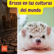 Erizos en las culturas del mundo