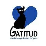 Gatitud Asociación Protectora de Gatos.. Gatitud Asociación Protectora de Gatos. logo. gatitud.