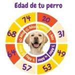 cómo calcular la edad de tu perro