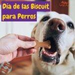 Día de las Biscuit para Perros. ocasiones especiales. doglovers . international biscuits day. dia de las galletas para perros. Petepua WEB