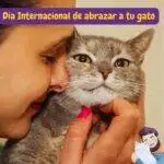 dia internacional de abrazar a tu gato. Una mujer abrazando a un gato