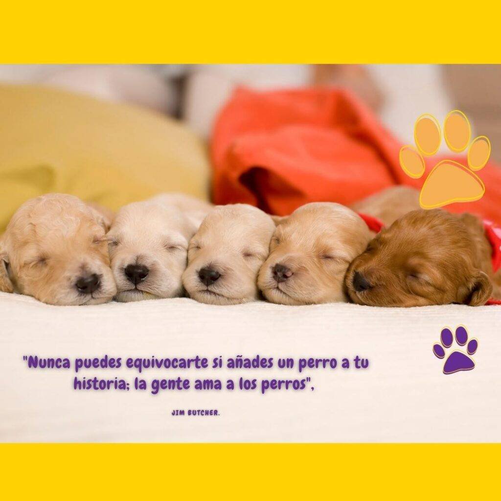 frase perruna y foto de cachorritos durmiendo
