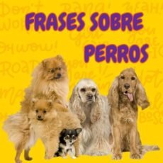 Frases de perros: celebrar a los mejores amigos del hombre