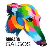Brigada Galgos. Rescatistas de Galgos Chilenos