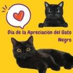 Día de la Apreciación del Gato Negro