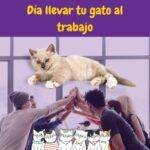 Dia de llevar a tu gato al trabajo. Take your cat to work day.