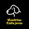 Huellitas Callejeras: Rescate Animal en México.