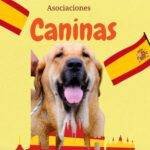 Organizaciones caninas españolas
