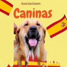 Organizaciones Caninas Españolas