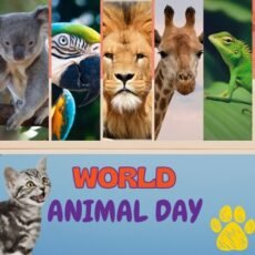 Día Mundial de los Animales. TODO sobre el World Animal Day