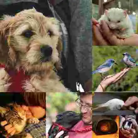 petlovers abrazando a sus mascotas.