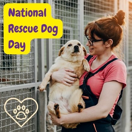 Chica abrazando a un perrito que acaba de adoptar de una perrera el dia National Rescue Dog Day