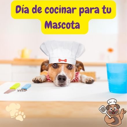 perro Jack Russel disfrazado de chef, con un texto que dice "Día de cocinar para tu Mascota "