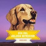 Ilustración de un golden retriever con el texto "Día del Golden Retriever"