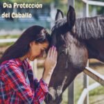 Un caballo y una joven frente a frente tocándose sus frentes mutuamente.