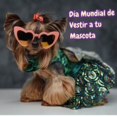 Dress Up Your Pet Day. Día Mundial de Vestir a tu Mascota