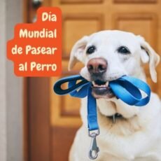Día Mundial de Pasear al Perro: International Walk Your Dog Day