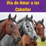 tres hermosos caballos