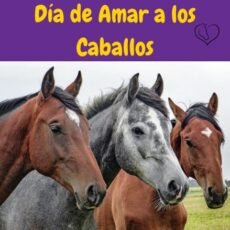 Día de Amar a los Caballos. Todo sobre el I Love Horses Day