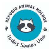 Refugio Animal Holbox. Rescate y adopción animal en el caribe mexicano