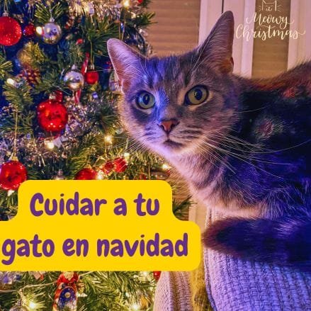 gato al lado de un arbol navideño