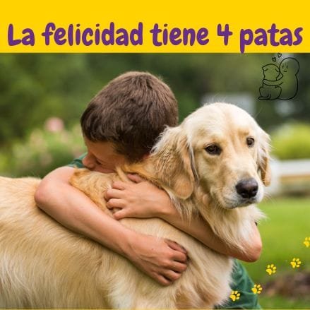 niño abrazando a su perro golden retriever