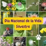 Día Nacional de la Vida Silvestre