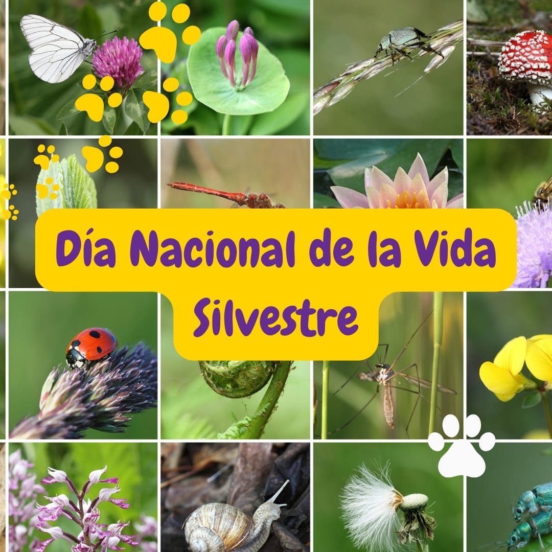 Día Nacional de la Vida Silvestre