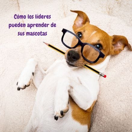 mascota lider
