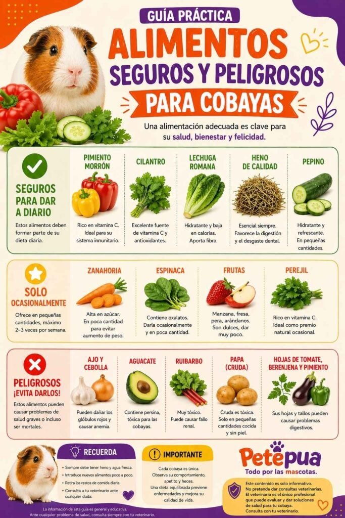 Infografía sobre alimentos seguros, ocasionales y peligrosos para cobayas