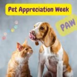 Perro y gato celebrando la Pet Appreciation Week junto a su familia