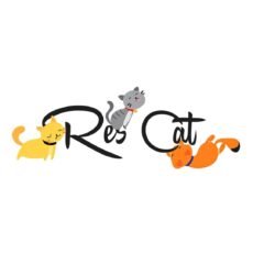 Asociación Refugio ResCat Costa Rica: Una segunda oportunidad para los gatos desprotegidos