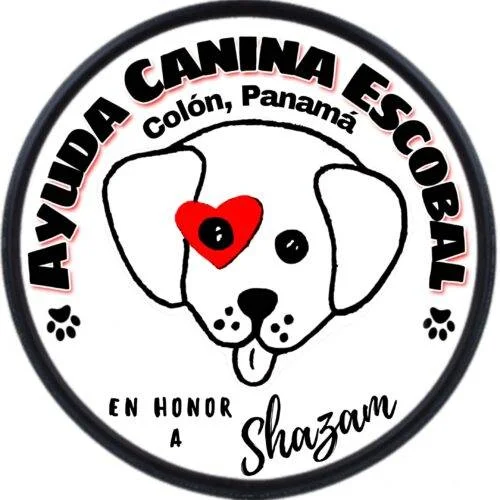 Ayuda a perros en Panamá. Ayuda Canina Escobal