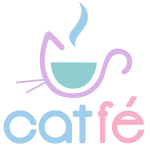 Catfé méxico. héroes sin capa. adopción de gatos