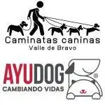 caminatas Caninas y Ayudog