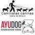 Caminatas Caninas Valle de Bravo / @mxayudog