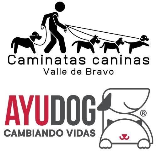 Caminatas Caninas Valle de Bravo / @mxayudog