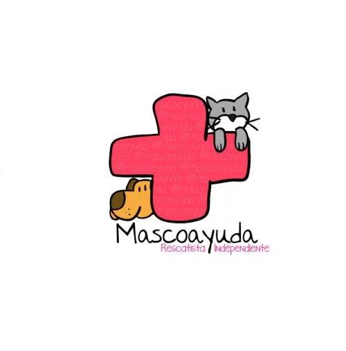 Adoptar una mascota con Mascoayuda